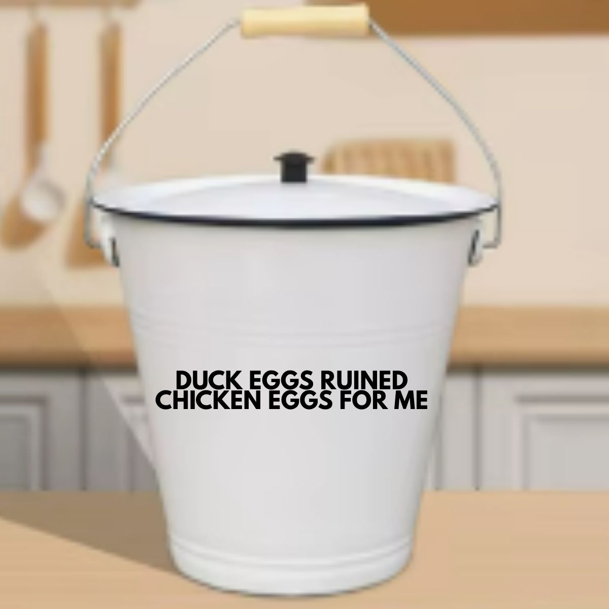 Duck Eggs Ruined Chicken Eggs For Me - Vinyl Sticker - 0006 - Image 2