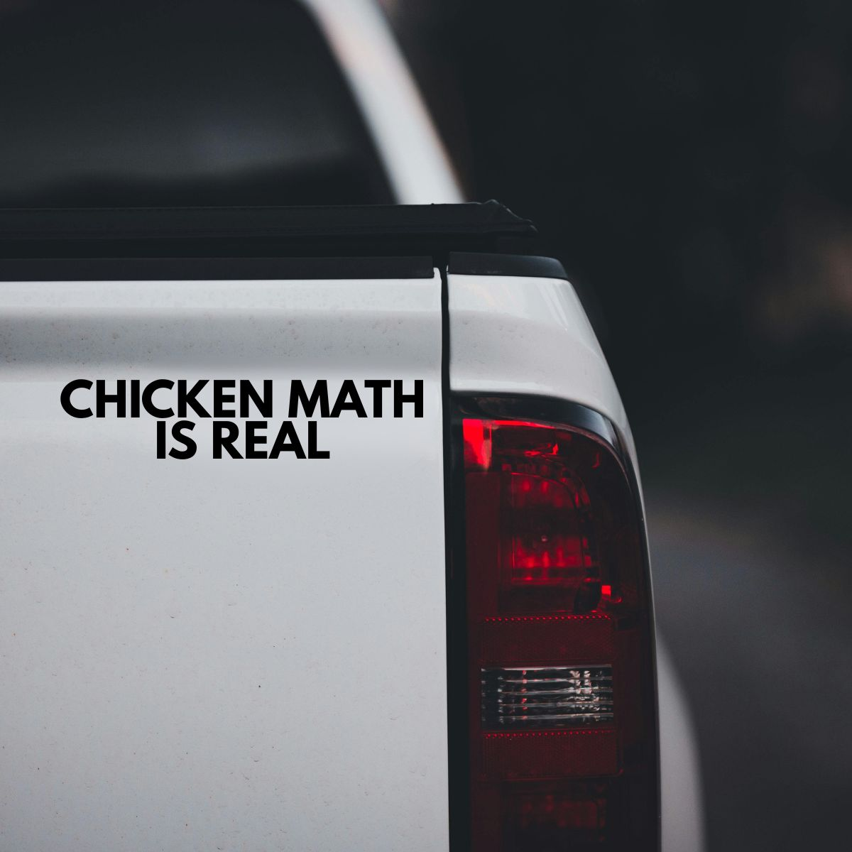 Chicken Math is Real - Vinyl Sticker - 0021 - Image 4