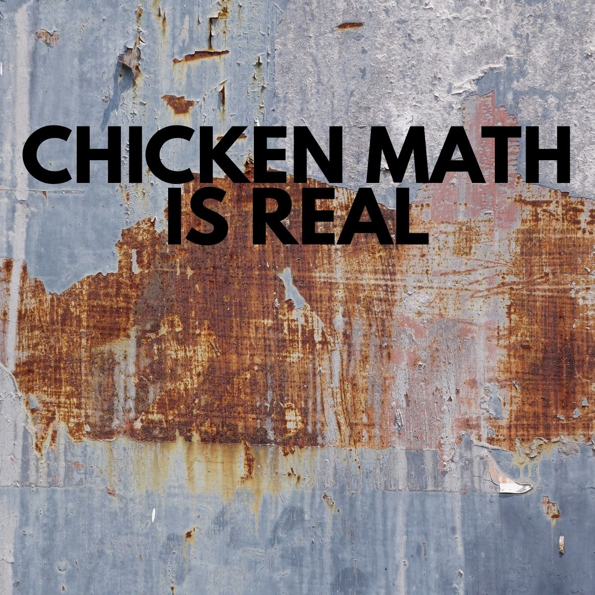 Chicken Math is Real - Vinyl Sticker - 0021 - Image 3