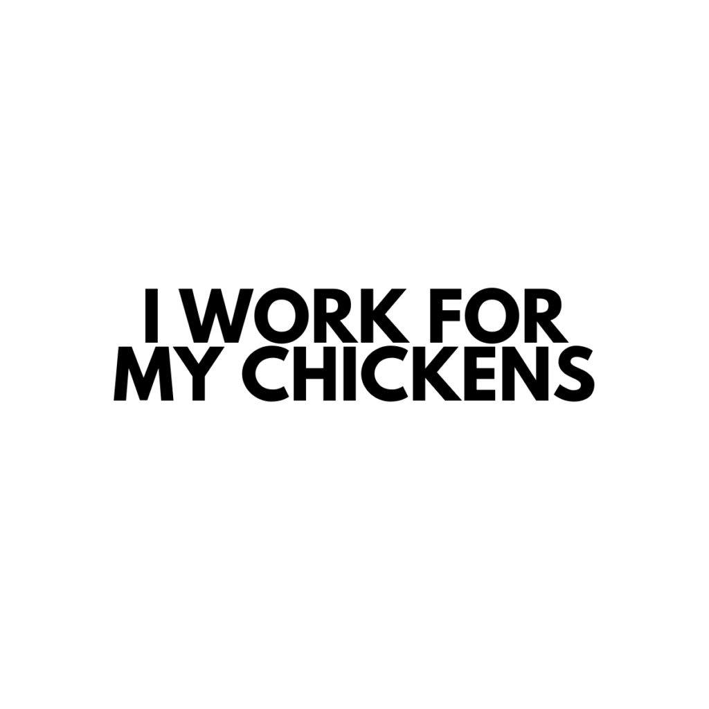 I Work for My Chickens - Vinyl Sticker - 0023
