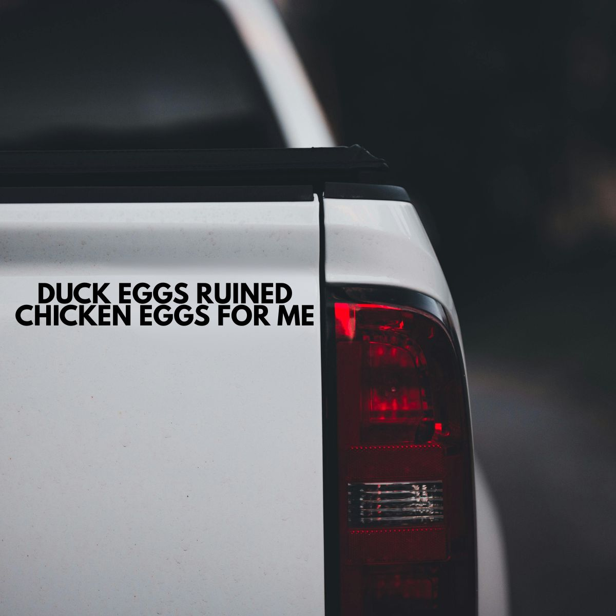 Duck Eggs Ruined Chicken Eggs For Me - Vinyl Sticker - 0006 - Image 4
