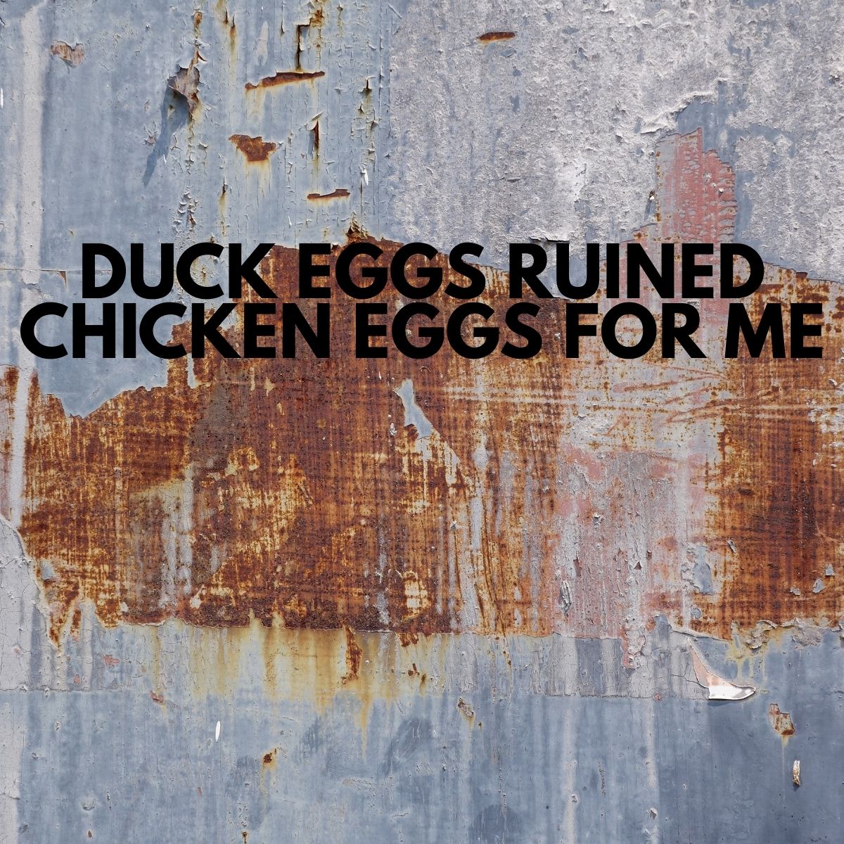 Duck Eggs Ruined Chicken Eggs For Me - Vinyl Sticker - 0006 - Image 3