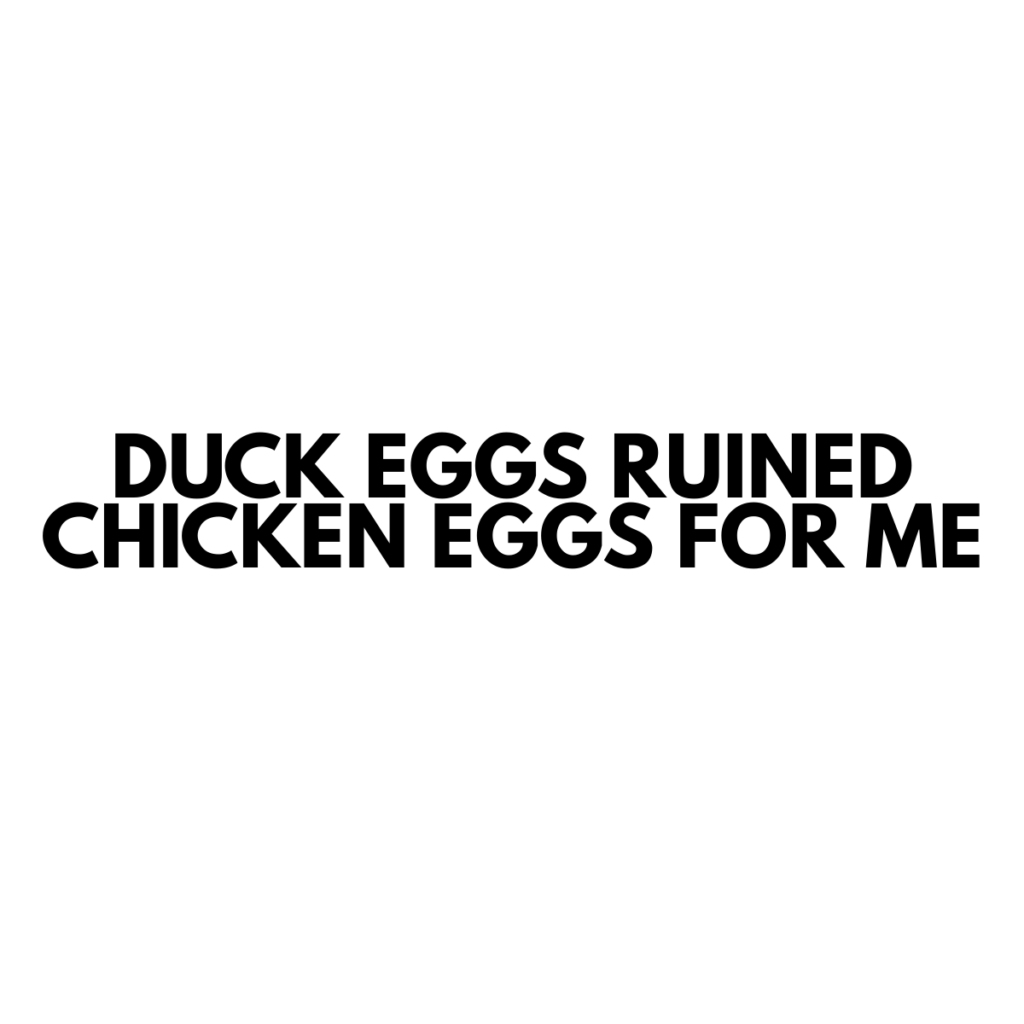 Duck Eggs Ruined Chicken Eggs For Me - Vinyl Sticker - 0006
