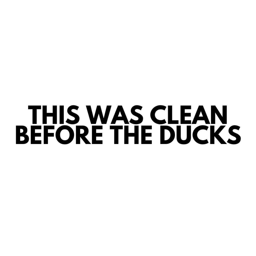 This Was Clean Before Ducks - Vinyl Sticker - 0005