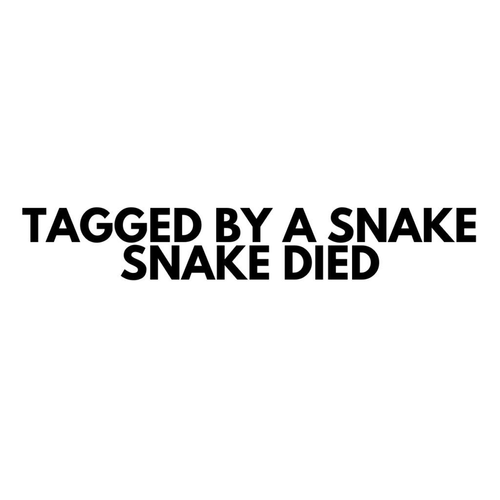 Tagged by a Snake Snake Died - Vinyl Sticker - 0053
